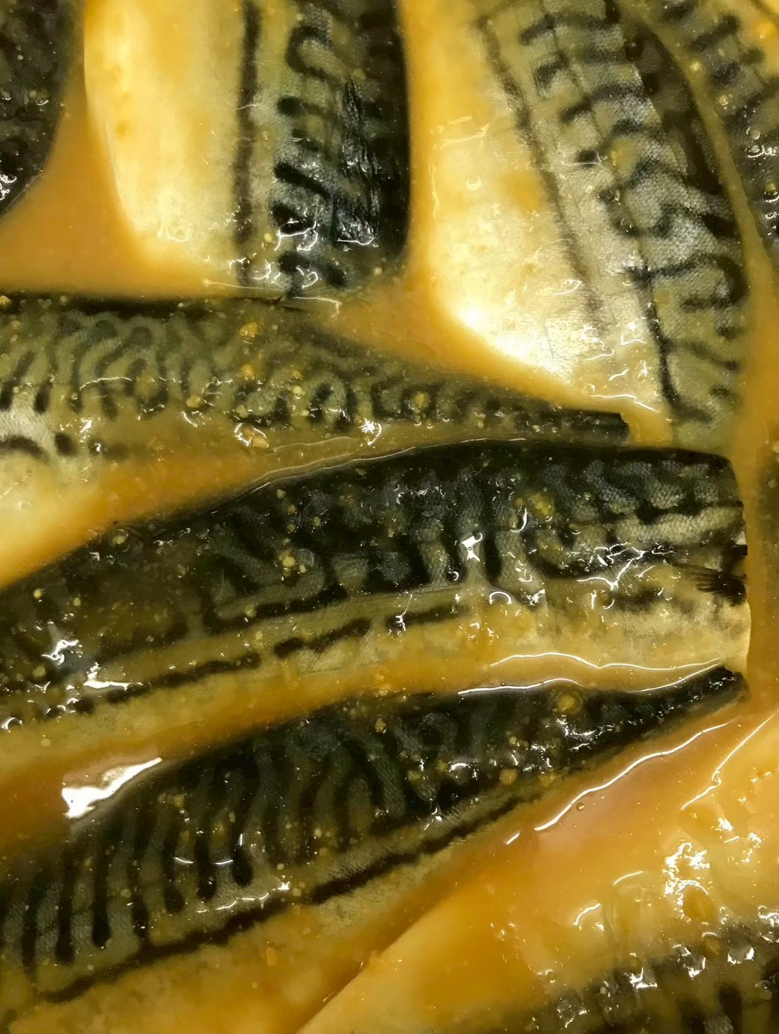 サバの西京漬け